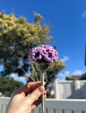 Load image into Gallery viewer, Carnations - Single Stem