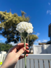 Load image into Gallery viewer, Carnations - Single Stem