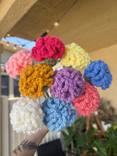 Load image into Gallery viewer, Carnations - Single Stem