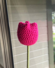 Load image into Gallery viewer, Tulip - Single Stem