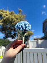 Load image into Gallery viewer, Carnations - Single Stem