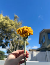 Load image into Gallery viewer, Carnations - Single Stem