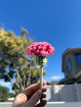 Load image into Gallery viewer, Carnations - Single Stem