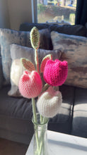 Load image into Gallery viewer, 3 PACK TULIPS