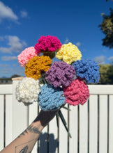 Load image into Gallery viewer, Carnations - Single Stem