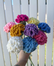 Load image into Gallery viewer, Carnations - Single Stem