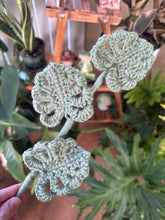 Load image into Gallery viewer, Monstera Leaf - Single Stem
