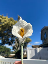 Load image into Gallery viewer, Calla Lily - Single Stem

