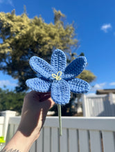 Load image into Gallery viewer, Lily - Single Stem
