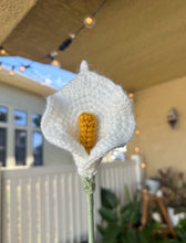 Load image into Gallery viewer, Calla Lily - Single Stem
