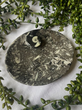 Load image into Gallery viewer, Ammonite Orthocera Bowl
