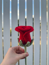 Load image into Gallery viewer, Rose - Single Stem
