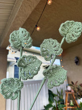 Load image into Gallery viewer, Monstera Leaf - Single Stem
