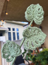 Load image into Gallery viewer, Monstera Leaf - Single Stem
