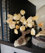 Load image into Gallery viewer, Citrine Tree
