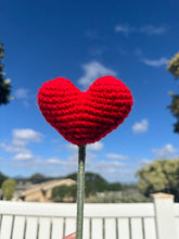 Load image into Gallery viewer, Filled With Love - Valentines Bouquet
