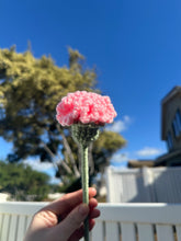 Load image into Gallery viewer, Carnations - Single Stem
