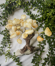 Load image into Gallery viewer, Citrine Tree
