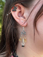 Load image into Gallery viewer, Nature Earrings
