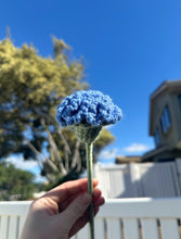 Load image into Gallery viewer, Carnations - Single Stem
