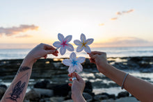 Load image into Gallery viewer, Plumeria Hair Clip
