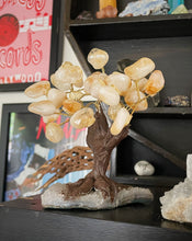 Load image into Gallery viewer, Citrine Tree

