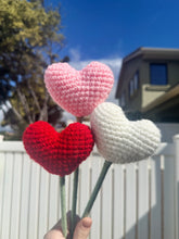 Load image into Gallery viewer, Filled With Love - Valentines Bouquet
