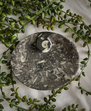 Load image into Gallery viewer, Ammonite Orthocera Bowl
