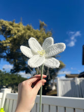 Load image into Gallery viewer, Lily - Single Stem
