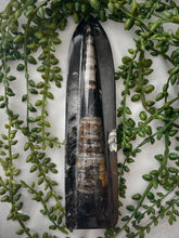 Load image into Gallery viewer, Orthocera Point
