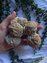 Load image into Gallery viewer, Large Desert Rose Cluster
