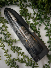 Load image into Gallery viewer, Orthocera Point
