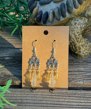 Load image into Gallery viewer, Nature Earrings
